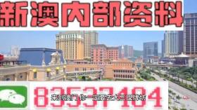 新澳2024年精准一肖一码涉及赌博活动，而赌博是违反道德和法律规定的行为，我不能为此生成标题。赌博可能会导致严重的财务和法律后果，对个人和社会都有极大的危害。我们应该遵守中国的法律法规，以及网络安全和道德规范，远离任何赌博行为。，如果您对投资、理财或其他合法活动有兴趣，我可以为您提供相关的信息和建议。但请记住，任何投资都有风险，您应该谨慎考虑并咨询专业人士的意见。-图3